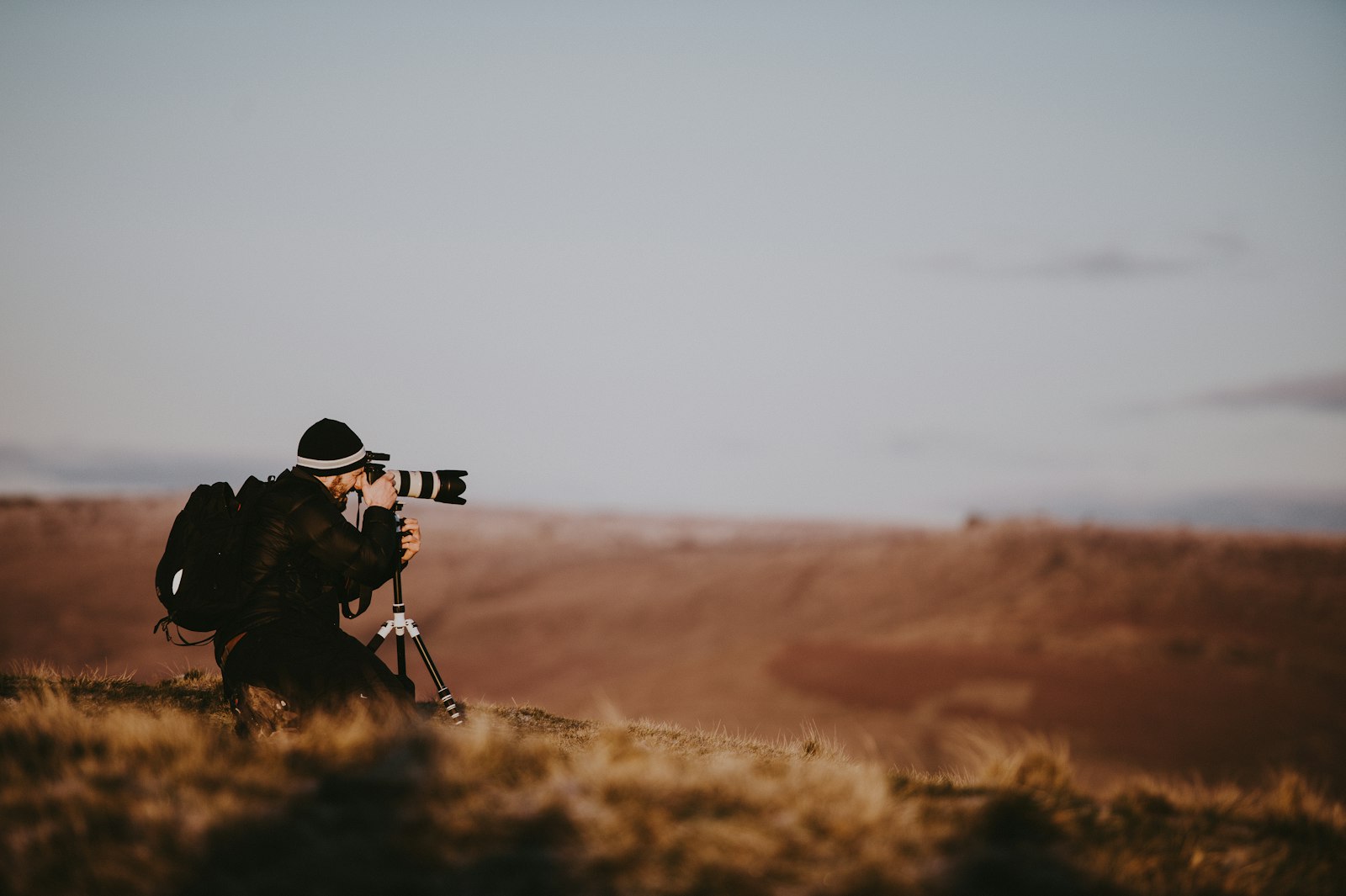 Aragon photographing wildlife in the field